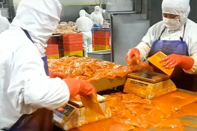 1647878218655985.jpg 企業(yè)車(chē)間-2.jpg