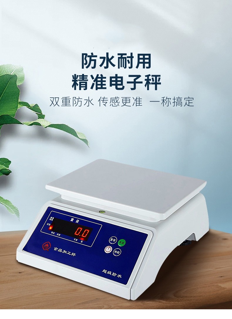 工業(yè)防水秤